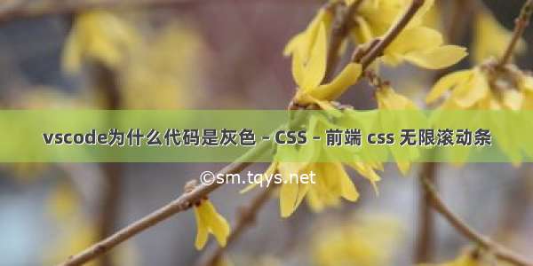 vscode为什么代码是灰色 – CSS – 前端 css 无限滚动条