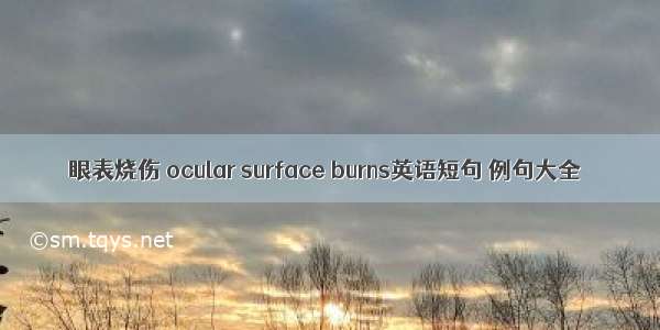 眼表烧伤 ocular surface burns英语短句 例句大全