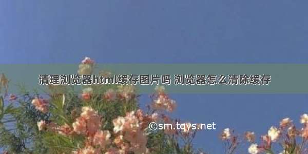 清理浏览器html缓存图片吗 浏览器怎么清除缓存