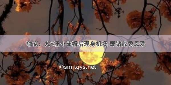 独家：大S汪小菲婚后现身机场 戴钻戒秀恩爱