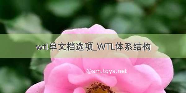 wtl单文档选项_WTL体系结构