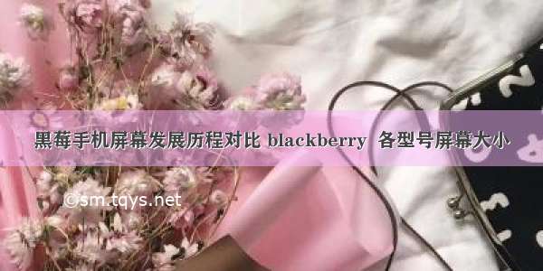 黑莓手机屏幕发展历程对比 blackberry  各型号屏幕大小