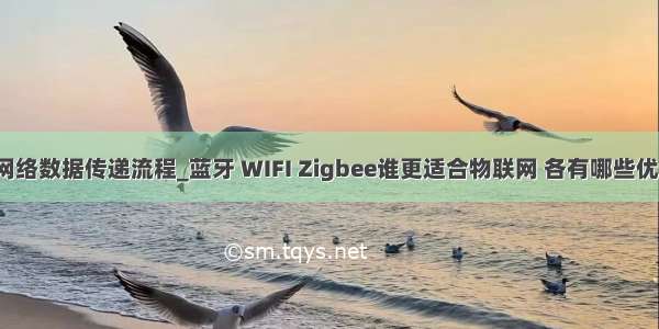 ZigBee网络数据传递流程_蓝牙 WIFI Zigbee谁更适合物联网 各有哪些优缺点？...