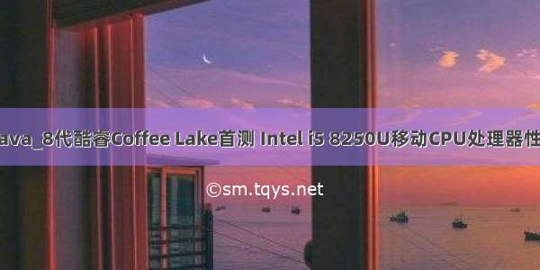 i5 8250u java_8代酷睿Coffee Lake首测 Intel i5 8250U移动CPU处理器性能对比评测