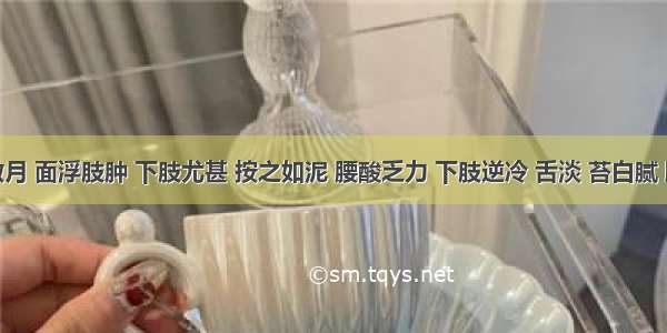 妊娠数月 面浮肢肿 下肢尤甚 按之如泥 腰酸乏力 下肢逆冷 舌淡 苔白腻 脉沉迟