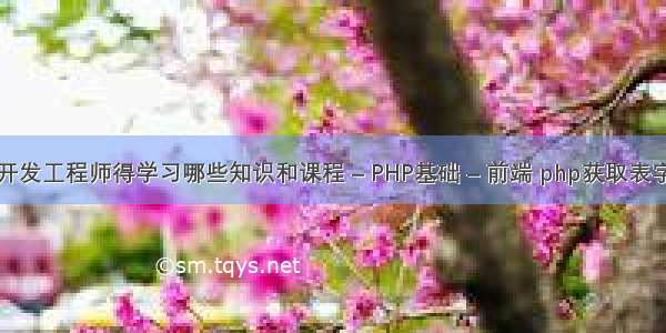 软件开发工程师得学习哪些知识和课程 – PHP基础 – 前端 php获取表字段名