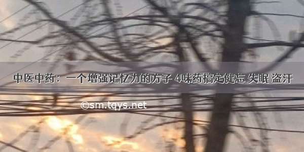 中医中药：一个增强记忆力的方子 4味药搞定健忘 失眠 盗汗