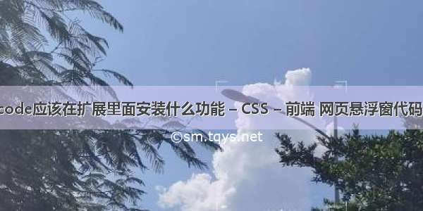 vscode应该在扩展里面安装什么功能 – CSS – 前端 网页悬浮窗代码css