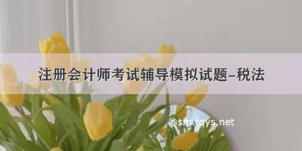 注册会计师考试辅导模拟试题-税法