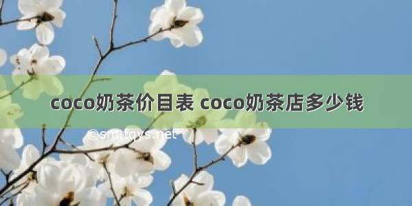 coco奶茶价目表 coco奶茶店多少钱