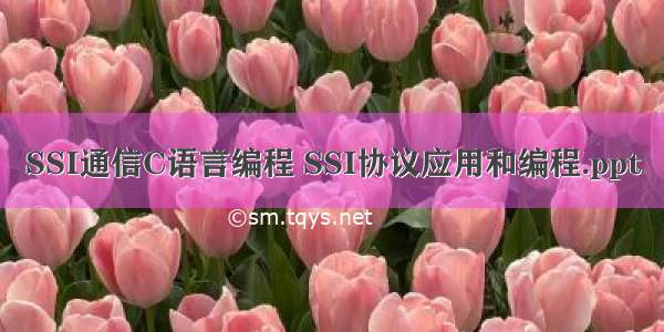 SSI通信C语言编程 SSI协议应用和编程.ppt