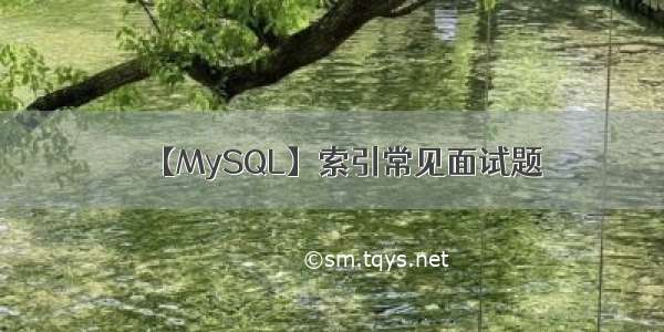 【MySQL】索引常见面试题