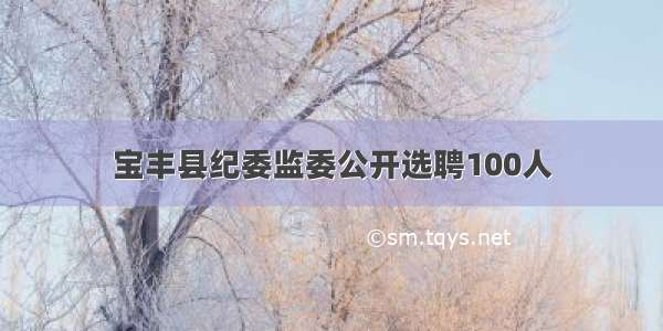 宝丰县纪委监委公开选聘100人