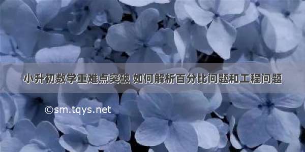 小升初数学重难点突破 如何解析百分比问题和工程问题