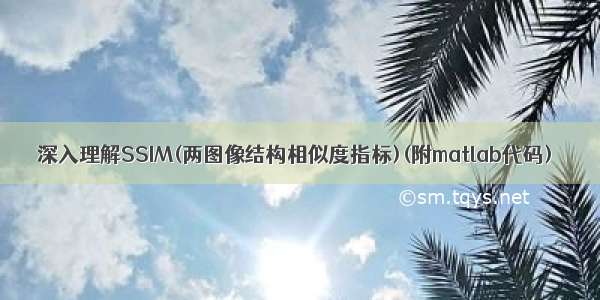 深入理解SSIM(两图像结构相似度指标)(附matlab代码)