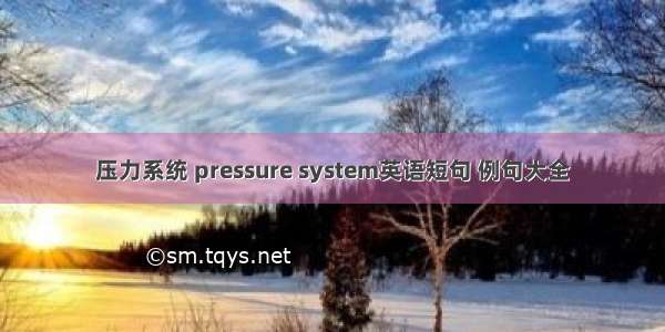 压力系统 pressure system英语短句 例句大全