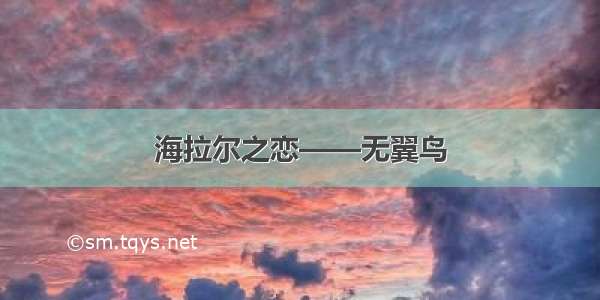 海拉尔之恋——无翼鸟