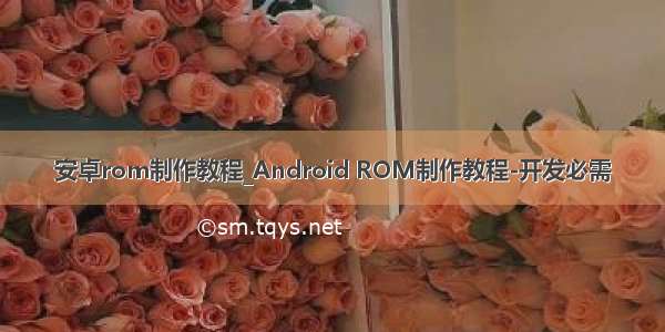 安卓rom制作教程_Android ROM制作教程-开发必需