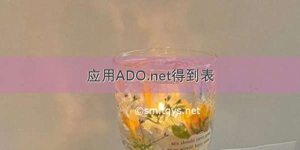 应用ADO.net得到表