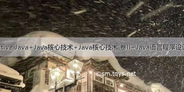 Java编程思想+Effective Java+Java核心技术+Java核心技术 卷II+Java语言程序设计（中文+英文+源码）