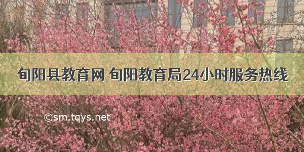 旬阳县教育网 旬阳教育局24小时服务热线