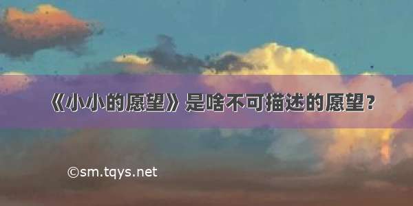 《小小的愿望》是啥不可描述的愿望？