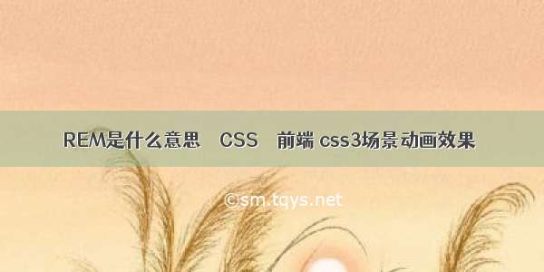 REM是什么意思 – CSS – 前端 css3场景动画效果