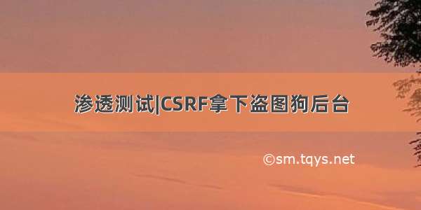 渗透测试|CSRF拿下盗图狗后台