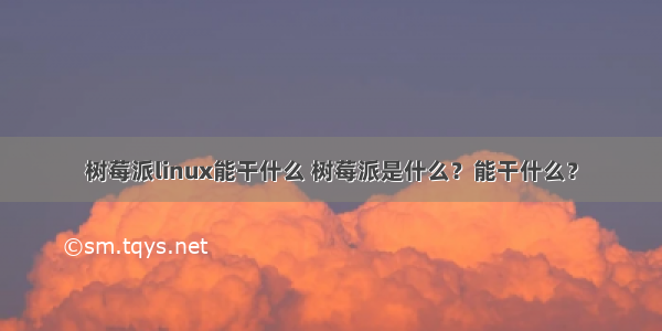 树莓派linux能干什么 树莓派是什么？能干什么？