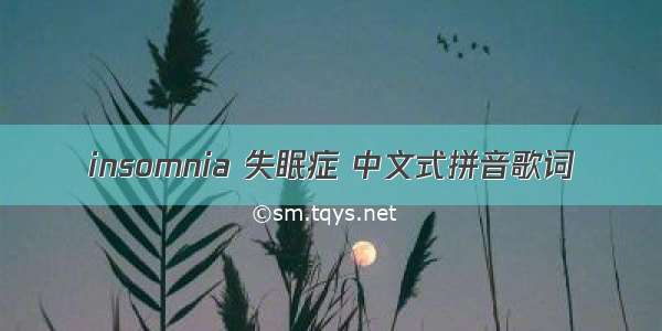 insomnia 失眠症 中文式拼音歌词