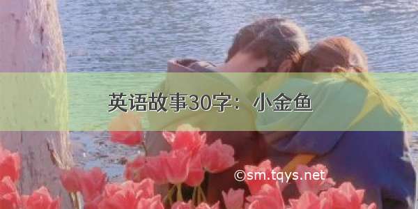 英语故事30字：小金鱼