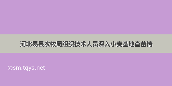 河北易县农牧局组织技术人员深入小麦基地查苗情