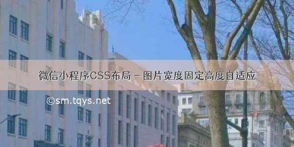 微信小程序CSS布局 - 图片宽度固定高度自适应