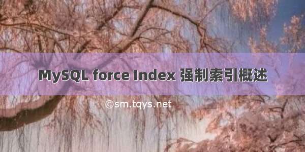 MySQL force Index 强制索引概述