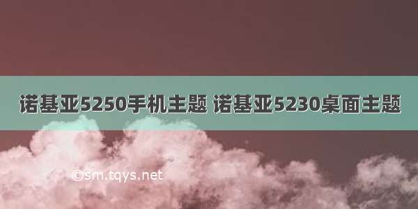 诺基亚5250手机主题 诺基亚5230桌面主题