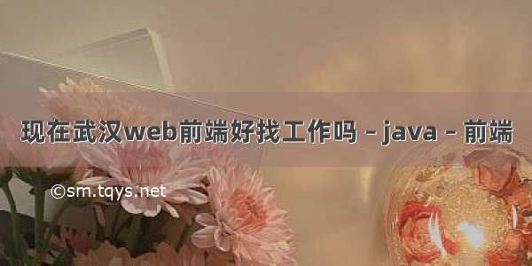 现在武汉web前端好找工作吗 – java – 前端