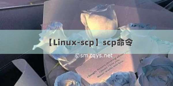 【Linux-scp】scp命令