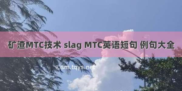 矿渣MTC技术 slag MTC英语短句 例句大全