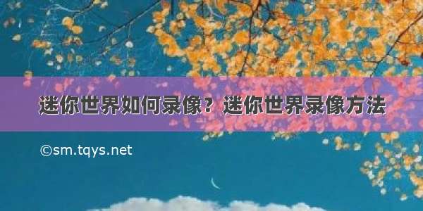 迷你世界如何录像？迷你世界录像方法