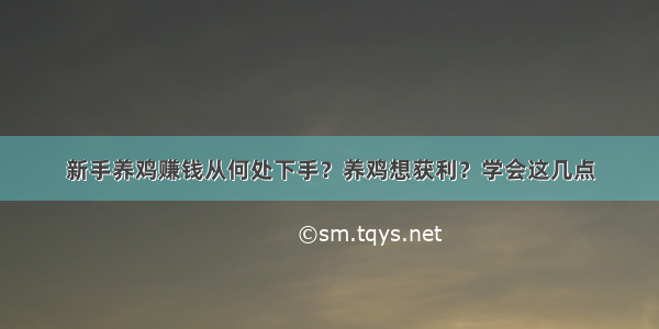 新手养鸡赚钱从何处下手？养鸡想获利？学会这几点