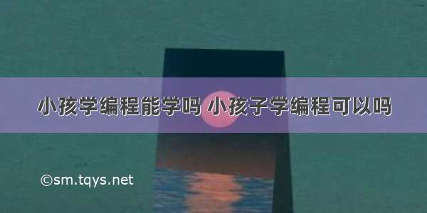 小孩学编程能学吗 小孩子学编程可以吗