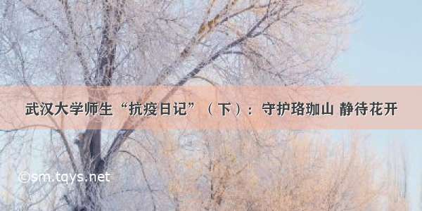 武汉大学师生“抗疫日记”（下）：守护珞珈山 静待花开
