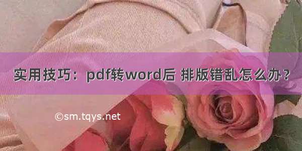 实用技巧：pdf转word后 排版错乱怎么办？