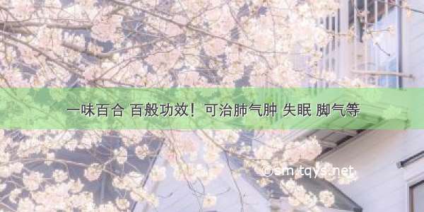 一味百合 百般功效！可治肺气肿 失眠 脚气等