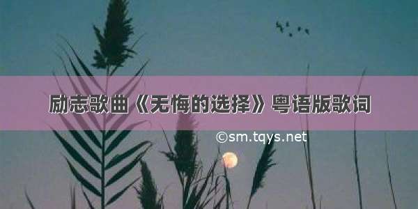 励志歌曲《无悔的选择》粤语版歌词