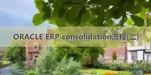 ORACLE ERP consolidation流程(二)