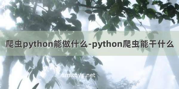 爬虫python能做什么-python爬虫能干什么