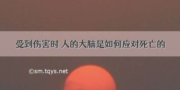 受到伤害时 人的大脑是如何应对死亡的