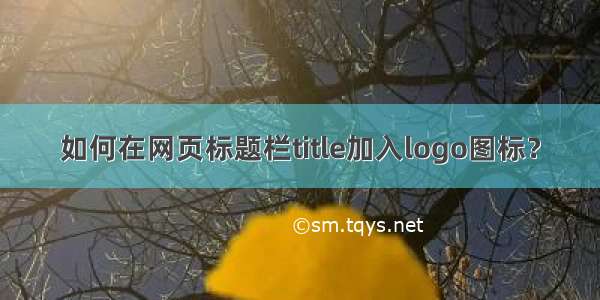 如何在网页标题栏title加入logo图标？