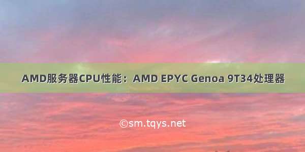 AMD服务器CPU性能：AMD EPYC Genoa 9T34处理器